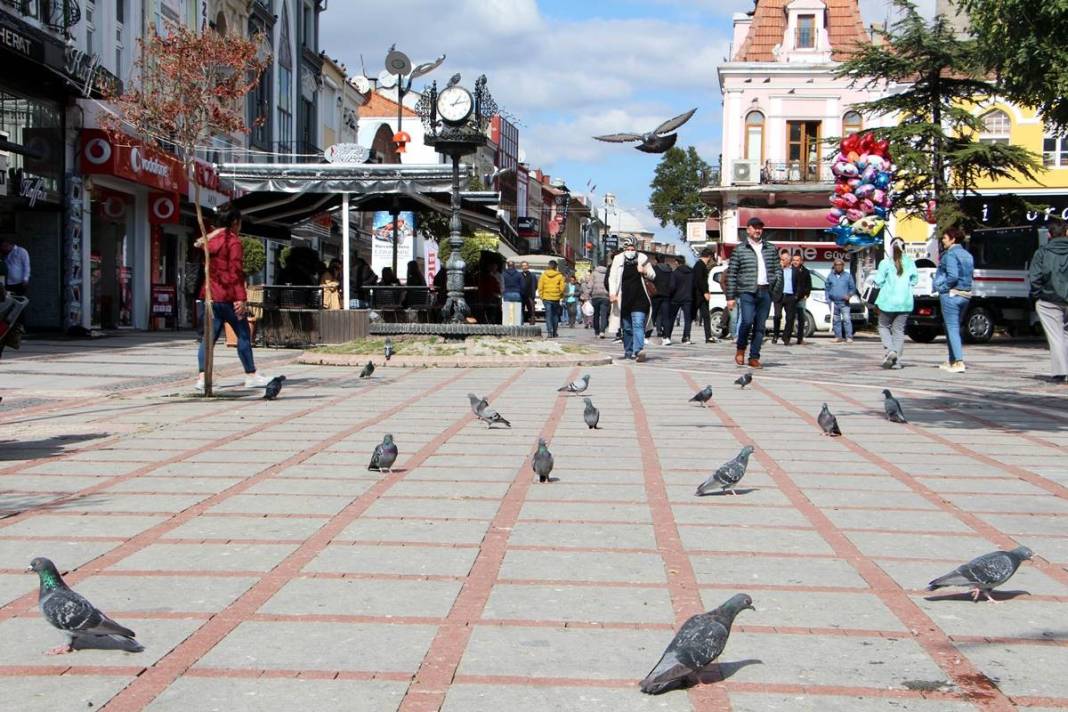 'Katil martı' paniği: Güvercinleri kurabiye gibi yiyorlar! 16